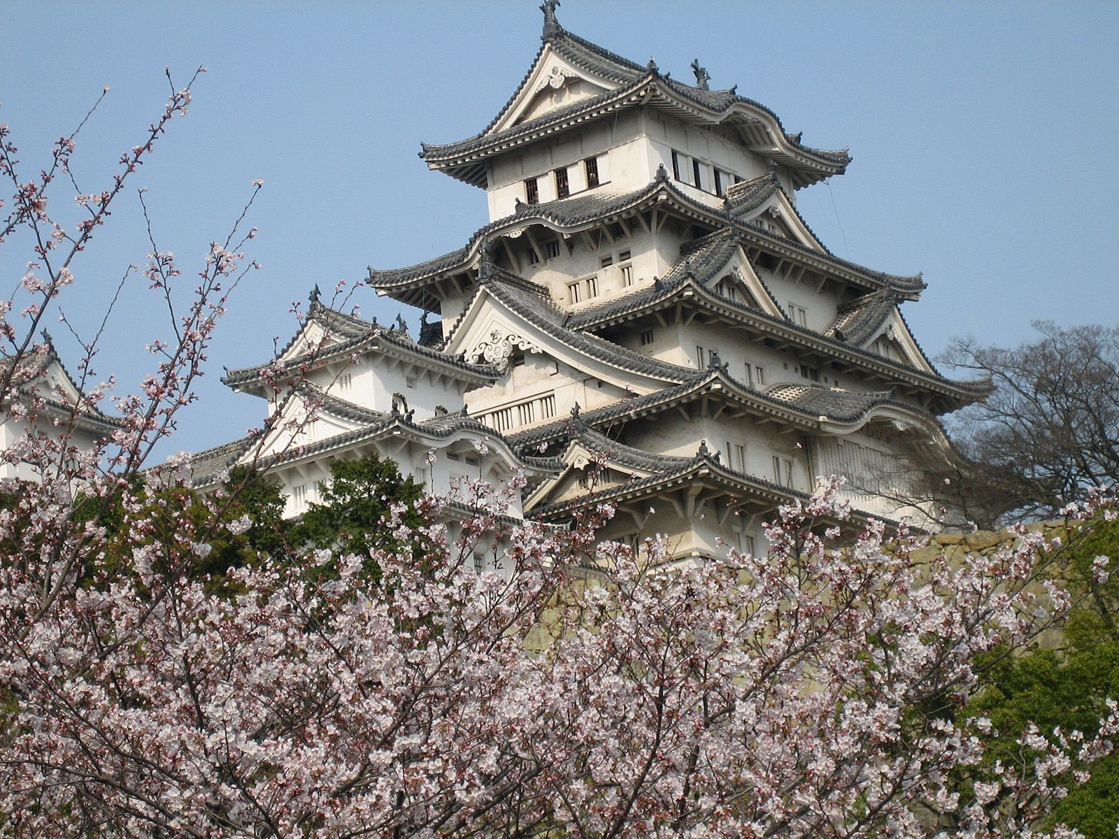 Красивый замок Химэдзи