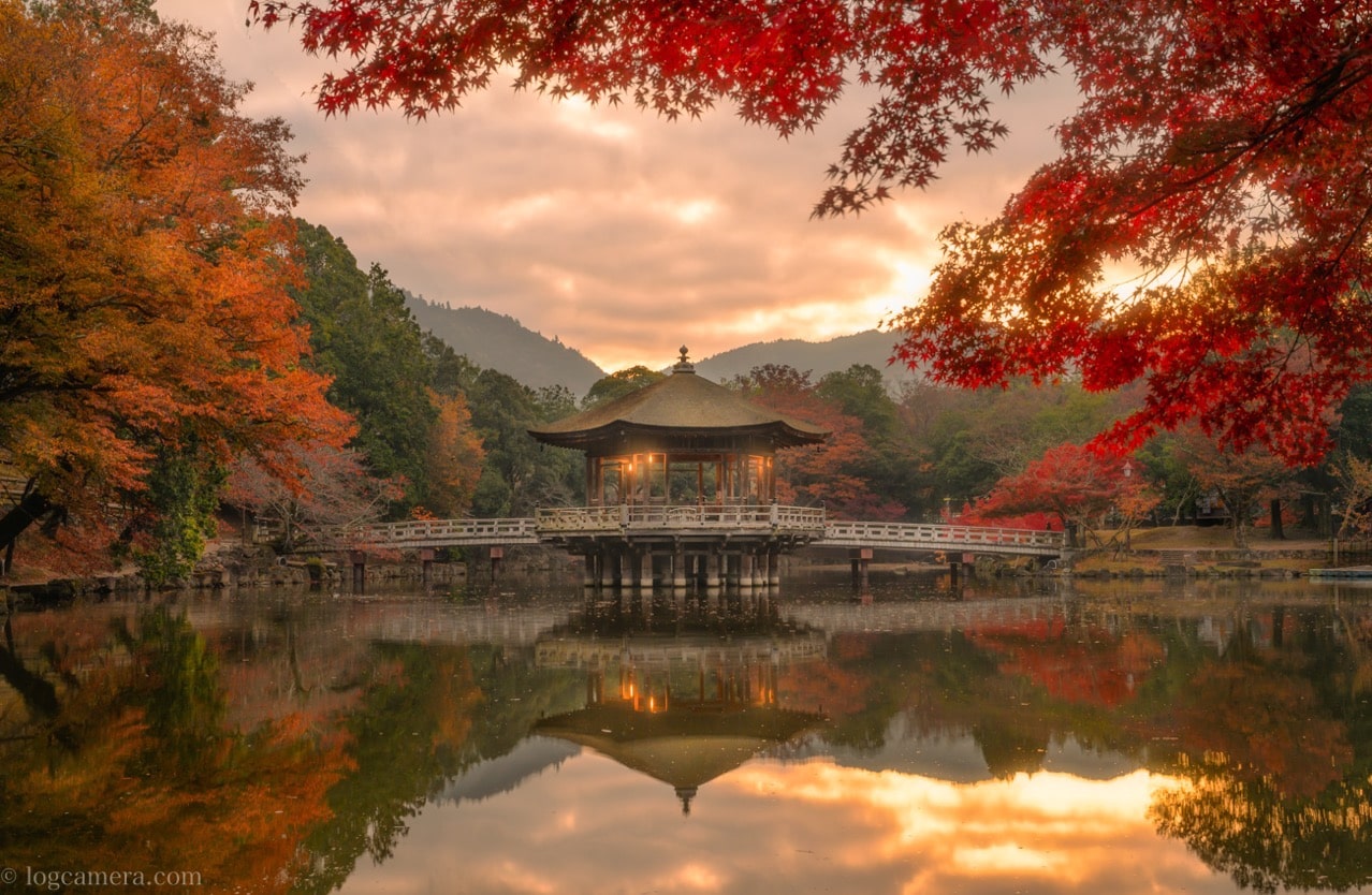 Невероятная осень. Осень в Японии. Пейзажи Китая и Японии. Красота в Японии пейзаж. Осень в японской деревне.
