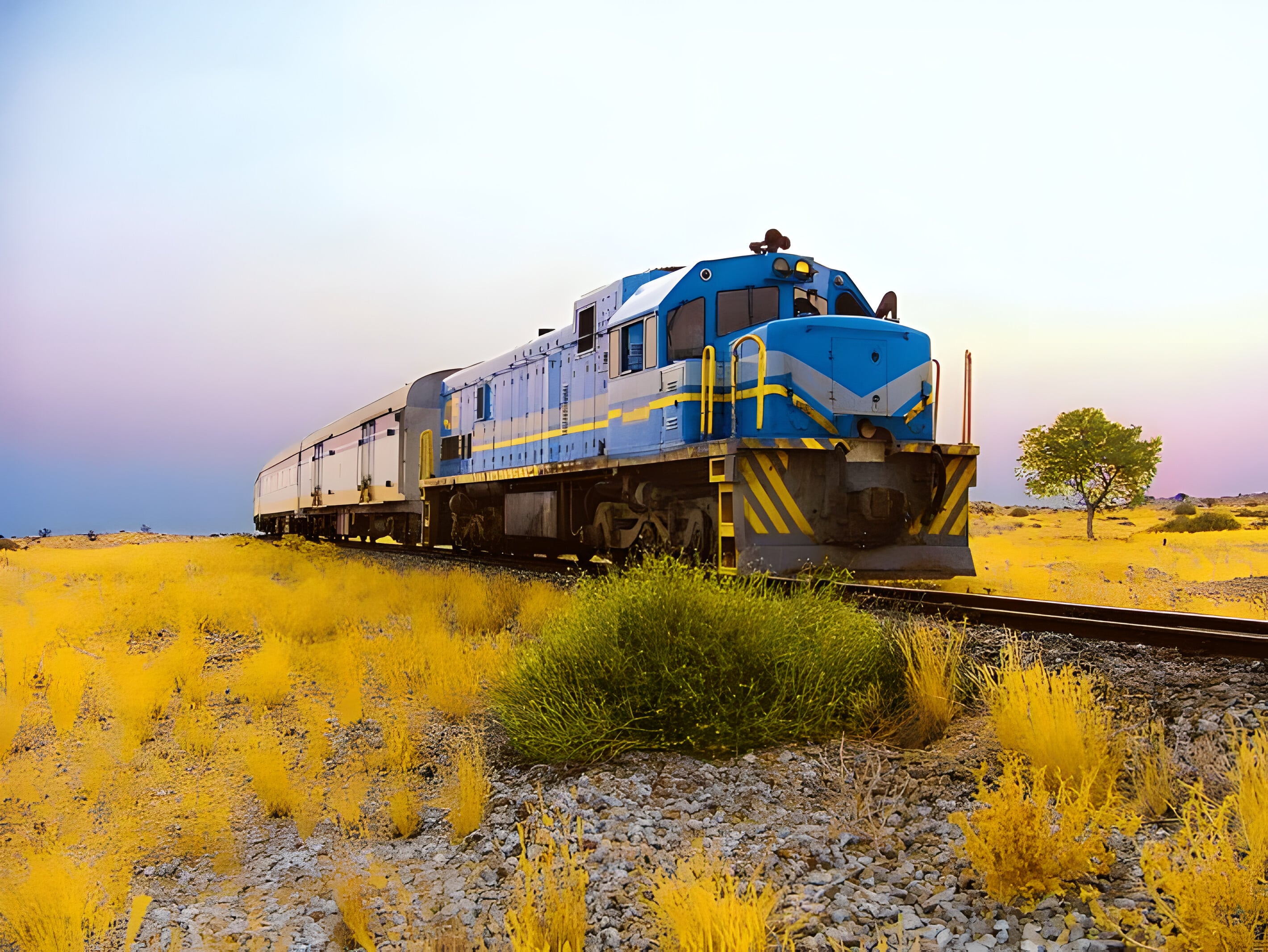 Железные дороги африки. Desert Express Намибия. Поезд в пустыне. Поезда в Африке. Железная дорога Намибии.