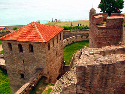Башня замка Баба Вида