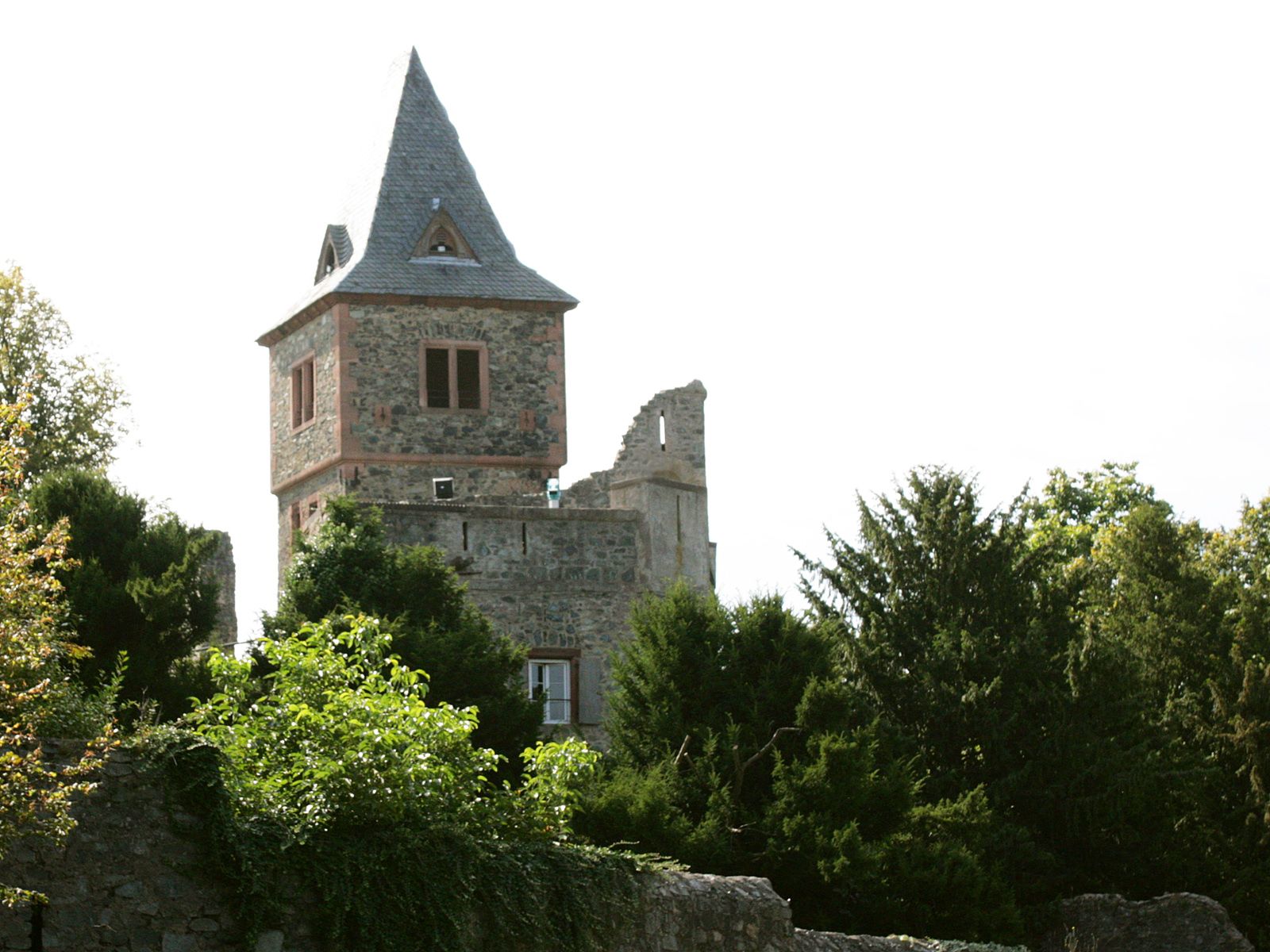 Башня замка Франкенштейн