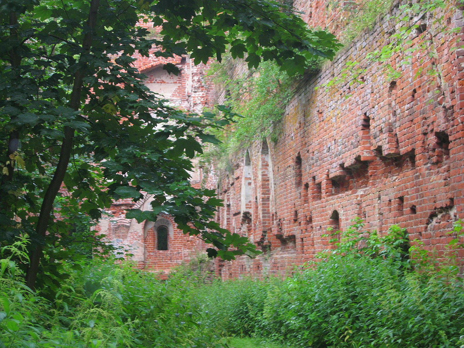 Стена. Замок Бальга