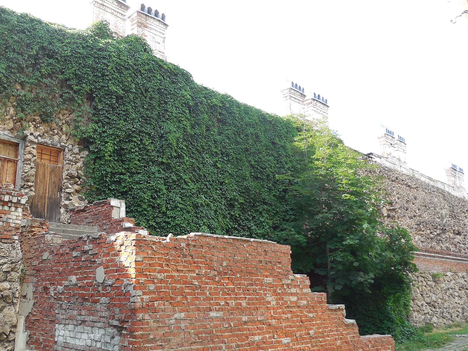 Сохранившаяся стена замка